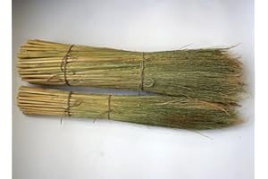 Craft Broom Corn with Stalks 24-36" Length…