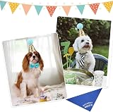 Fantasyon Dog Birthday Hat with Bow Tie Blue Number Reusable Party Accessory view 4