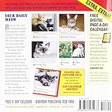 Image de 365 Cats 2014 Page-A-Day Calendar