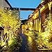 Haian Support PAR36 LED Landscape Bulb,9W 900LM 50W Halogen Equivalent,3000K Warm White,12V AC/DC,Water Resistant,PAR36 LED Bulb for Landscape Lighting,Off-Road Vehicles,RV Vehicles,Tractor (1 Pack)
