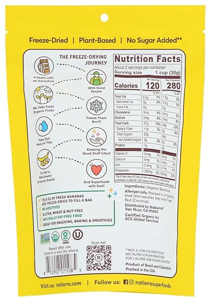 NATURES ALL BANANA FRZ DRD RAW ORG, 2.5 OZ