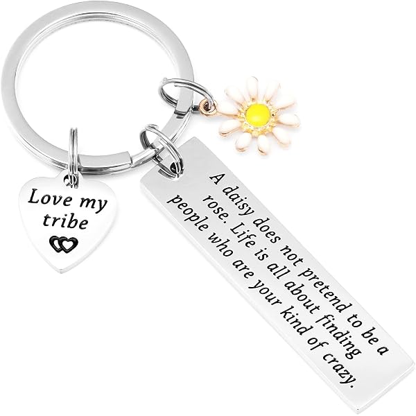 Funny Sister Gift Keychain – 'I'd Walk Through Fire For You Sister...' Quote, Stainless Steel With Gift Bag