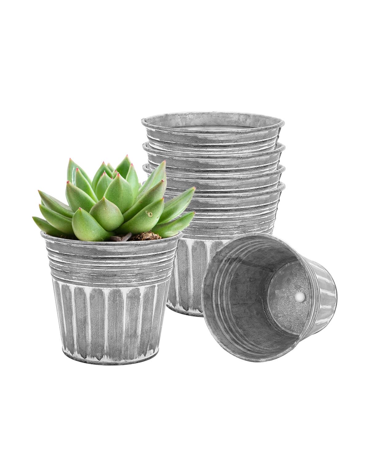 vensovo Galvanised Metal Plant Pots for Indoor Outdoor Use – 6Pcs Rustic Flower Planters with Drainage Hole & Plug, Silver Herb Pots, Small Garden Buckets for Succulents & Flowers, 10 CM