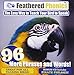 Feathered Phonics The Easy Way To Teach Your Bird To Speak Volume 4: 96 More Words and Phrases