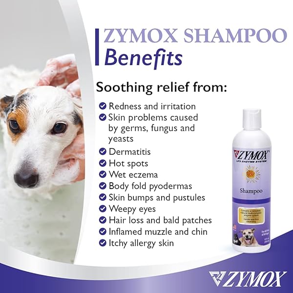 PET KING BRANDS ZYMOX SHAMPOO FOR DOGS AND CATS, 12OZ