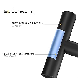 goldenwarm 10 Pack Black Cabinet Knobs Kitchen