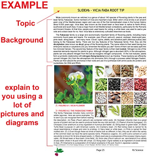 Rs' Science - 25 Microscope Prepared Slide Set for You to Learn The Beauty of Biology (2019 Version) with Printed Guide Book - Thumbnail 4