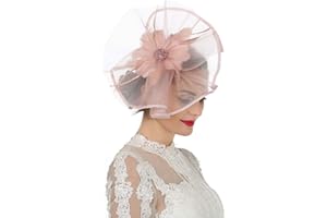SAFERIN Fascinator for Women Hair Clip Hat Bowler Feather Flower Veil Wedding Party Hat Tea Hat