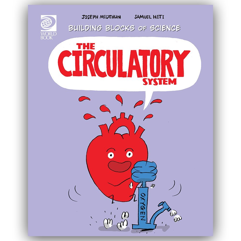 The Circulatory System Joseph Midthun Paul Kobasa - 
