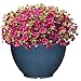 Classic Home and Garden Bellina Planter, 12