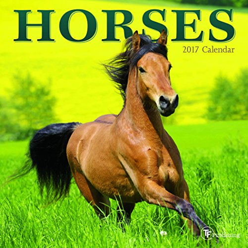 2017 Horses Mini Calendar 2017 Horses Mini Calendar