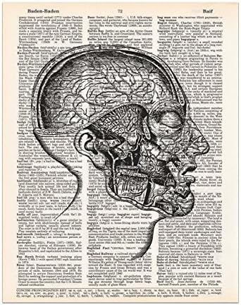 Dissected Head Brain Mouth, Medical Anatomy Drawing, Dictionary Page Art Print, 8x11 UNFRAMED