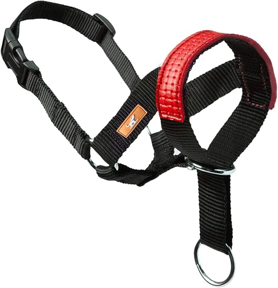 Dog Head Collar with Leather Decoration, Head Collar for