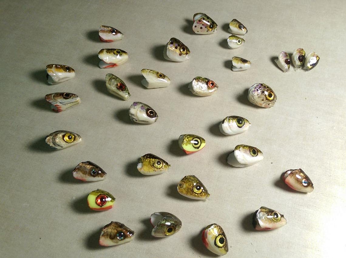 Super Pack DIY Variety Pack of Fish Heads for Fly