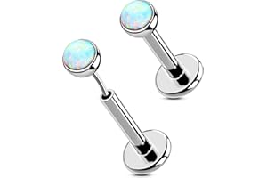 OUFER 2PCS 16G/20G Nose Lip Studs, G23 Solid Titanium Threadless Push in Nose Nostril Lip Labret Medusa Monroe Helix Cartilage Tragus Conch Lobe Piercing Jewelry for Women Men