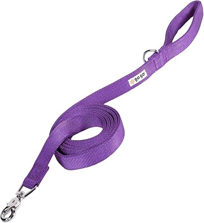 Gogo dog leash Clearance