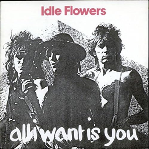 All I Want Is You