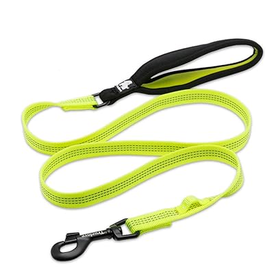 Best outdoor leash for dogs Outlet