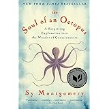 The Soul of an Octopus: A Surprising Exploration into the Wonder of Consciousness