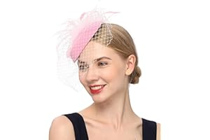 DURZASVO Women's 20s 50s Mesh Veil Feather Pillbox Fascinator Hat for Wedding Tea Party Durby Funeral Fascinator with Headband Clip