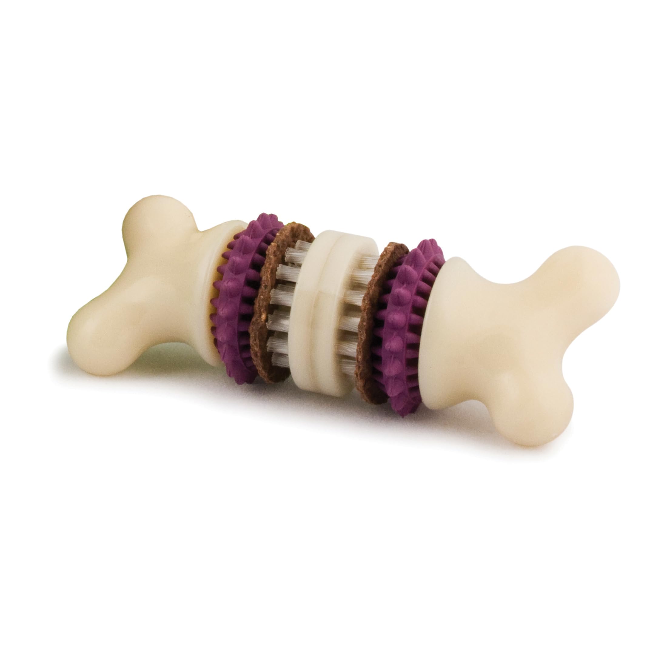 Premier PetSafe Busy Buddy Bristle Bone S Durable Dog Chew Toy, Dog Toy Bone with Treat Rings for Dental Health, Small Dogs