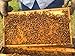 HoneyComb Heroes, Wildflower Local Virginia Honey, 18 oz