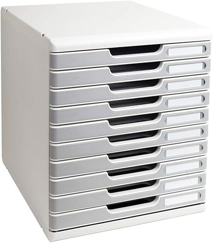 Exacompta - Mueble archivador con 10 cajones, color gris: Amazon.es