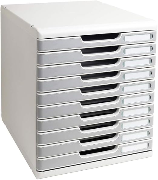 Exacompta - Mueble archivador con 10 cajones, color gris: Amazon.es