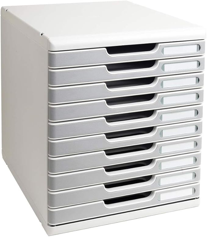 Exacompta - Mueble archivador con 10 cajones, color gris: Amazon.es