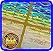 Holomarks 168 pcs Hologram Labels with Serial Numbers, Warranty Stickers Seals 0.70 x 0.70 inch