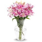 Stargazer Barn 10 Stem Rose Lily Bouquet - Vase Included | Fresh Cut Flower Delivery, Hand-Tied in the USA, Gift for Birthday, Anniversary, Sympathy or Home Decor