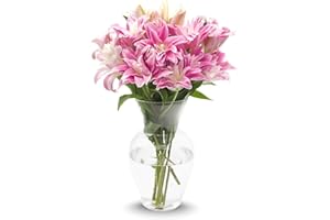 Stargazer Barn - 10 Stem Pink Rose Lilies (Includes Glass Vase) - Fresh Flowers for Delivery - Gift for Anniversary, Birthday, Congratulations, Get Well, Graduation, Sympathy