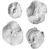 Uttermost Sea Coral 13 1/2" High 4-Piece Wall Art Set