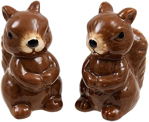 Amazon Com Autumn Brown Squirrels Decorative Salt Pepper Shaker