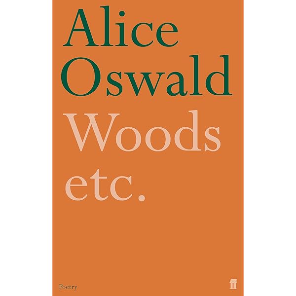Amazon.com: A Sleepwalk on the Severn: 9780393355970: Oswald