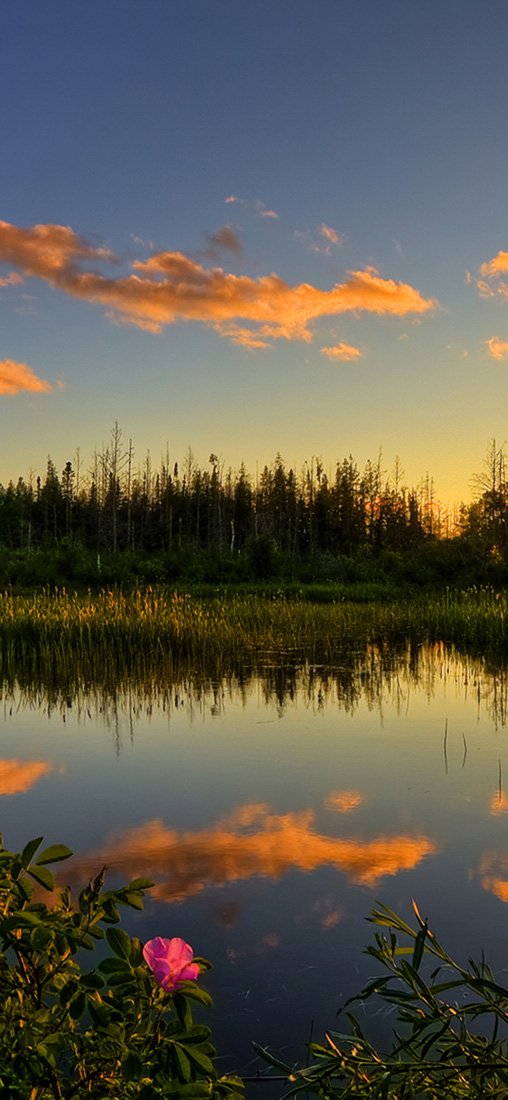 PeelitStickit, Beautiful Nature Wall Murals, ID-1319, vinyl