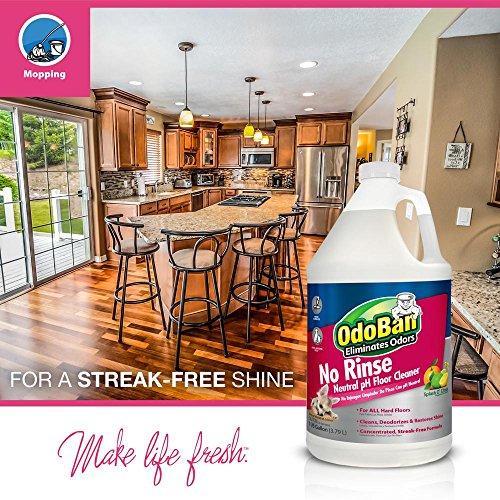 pet solutions odoban