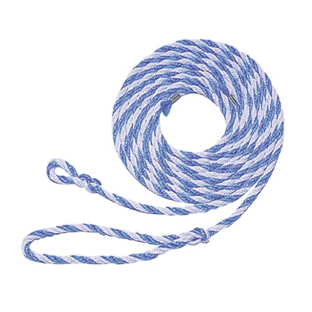 Kerbl 2954 Livestock Transport Rope with Large Loop, 3.20 m, Blue/White