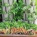 Huge 4 Tier GreenStalk Vertical Planter – for Urban and Small Space Gardening (Stunning Stone)