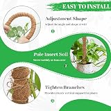 Aileem Moss Poles 122cm 2 Pack Bendable Plant Support Climbing Poles view 5