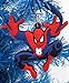 Super Hero 7 Piece Christmas Ornament Set with Flash, Hulk, Green Lantern, Batman, Superman, Spiderman, and Wolverine - Unique Shatterproof Plastic Design by Holiday Ornaments