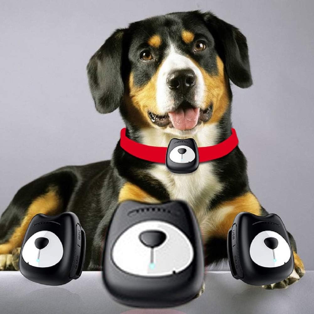 lego creator 3 in 1 whale