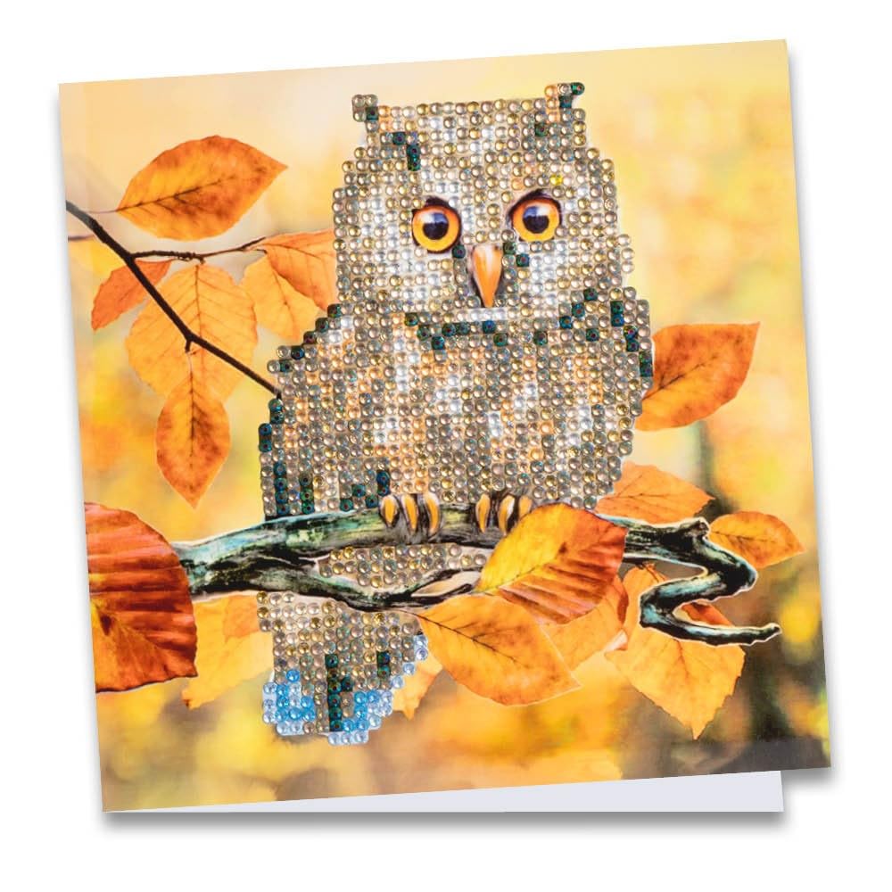 Ideen mit Herz, Diamond Painting Rhinestone Edition Greeting Card, 16 x 16 cm, 370 GSM with Rhinestones, Envelope and Tools (Owl 01)