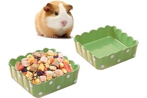 Acsist 2PCS Cute Ceramic Hamster Food Bowl Square Guinea Pig Water Bowls Dish Prevent Tipping Moving Bunny Feeding Bowl for Rabbit Syrian Hamster Hedgehog Sugar Glider (Green)
