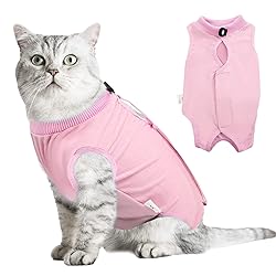 hipet Cat Surgery Recovery Suit for Abdominal