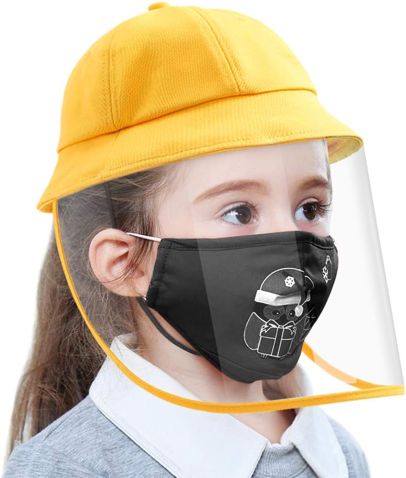 Safety Protective Hat with Detachable Plastic Face Cover/Full-face Cap with Transparent Shield for Kids Women Men,Anti-Saliva Anti-Spitting Anti-Fog Windproof Dust-proof Outdoor Fisherman Sun Hat