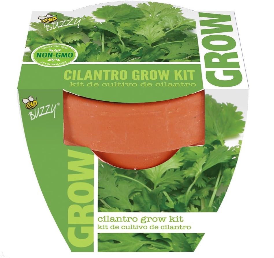 Buzzy 95722 Cilantro Mini Grow Pot
