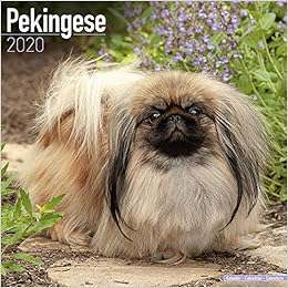 2021 pekingese calendar Pekingese Calendar Dog Breed Calendars 2019 2020 Wall Calendars 16 Month By Avonside Multilingual Edition Megacalendars 9781785806377 Amazon Com Books 2021 pekingese calendar