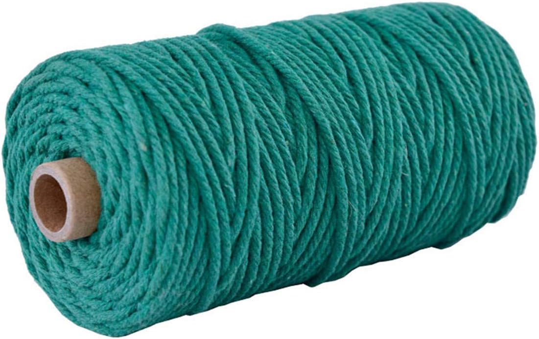Vivianbuy Green 3mm/4mm Dia 328ft Macrame Cotton Cord Twist Macrame String Soft Macrame Rope for Handmade Plant Hanger Craft Making and DIY Projects