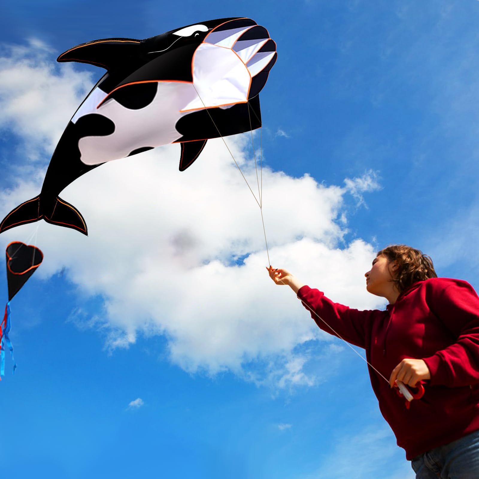 HENGDA KITE 3D Kite for Kids and Adults,Easy to Fly,Excellent Fabric and Structure Design，Huge Frameless Soft Parafoil Giant Whales Dolphins Kite